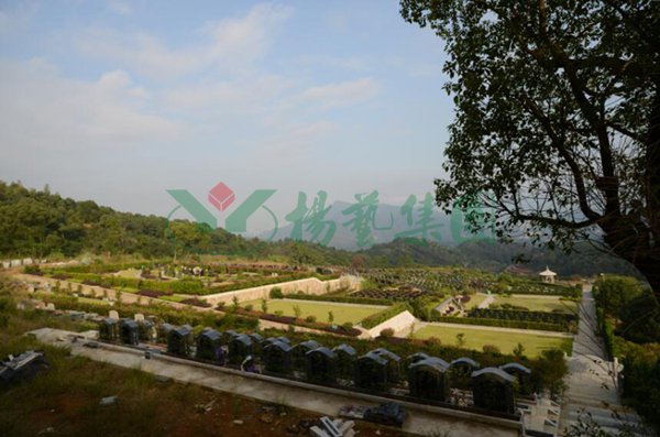 拉斯维加斯游戏·(中国)官方网站
