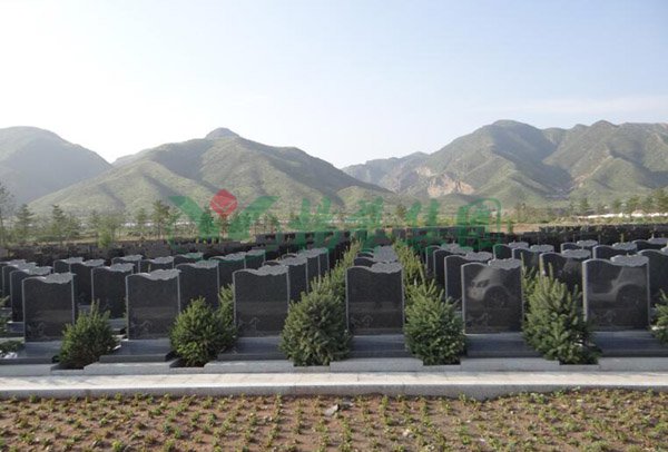 拉斯维加斯游戏·(中国)官方网站