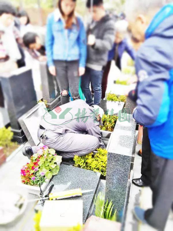 拉斯维加斯游戏·(中国)官方网站
