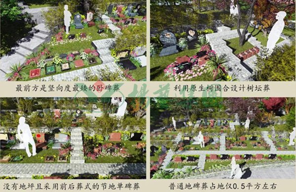 拉斯维加斯游戏·(中国)官方网站
