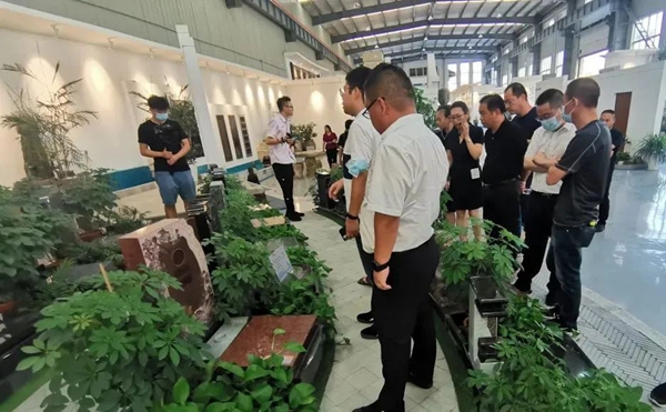 拉斯维加斯游戏·(中国)官方网站