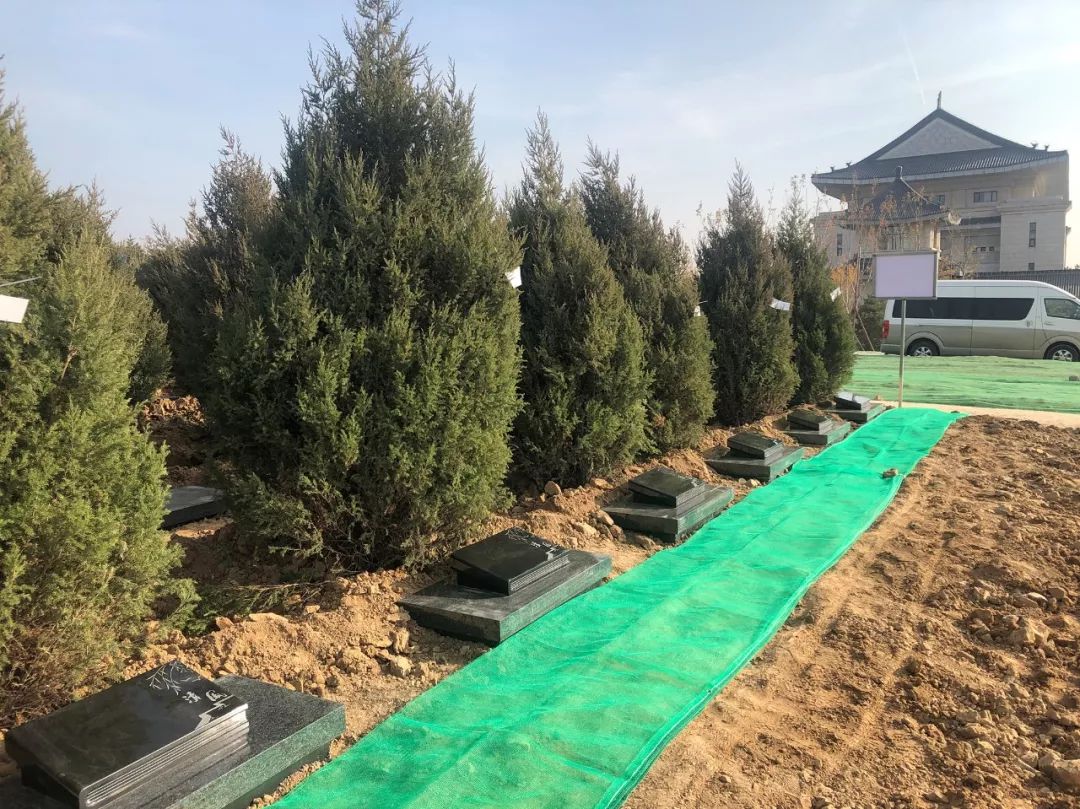 拉斯维加斯游戏·(中国)官方网站