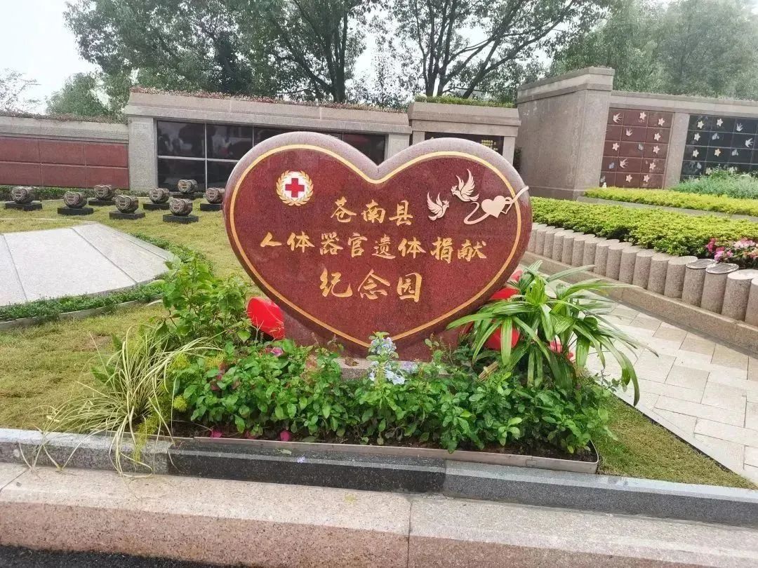 拉斯维加斯游戏·(中国)官方网站