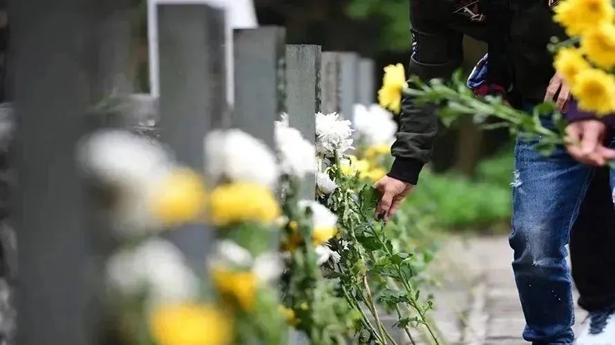 拉斯维加斯游戏·(中国)官方网站