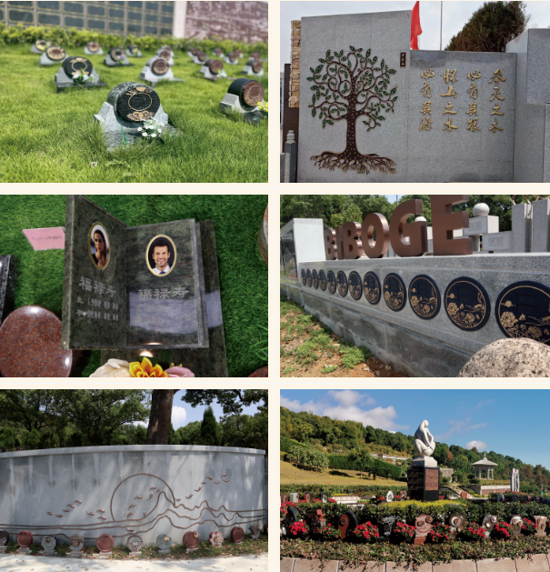 拉斯维加斯游戏·(中国)官方网站