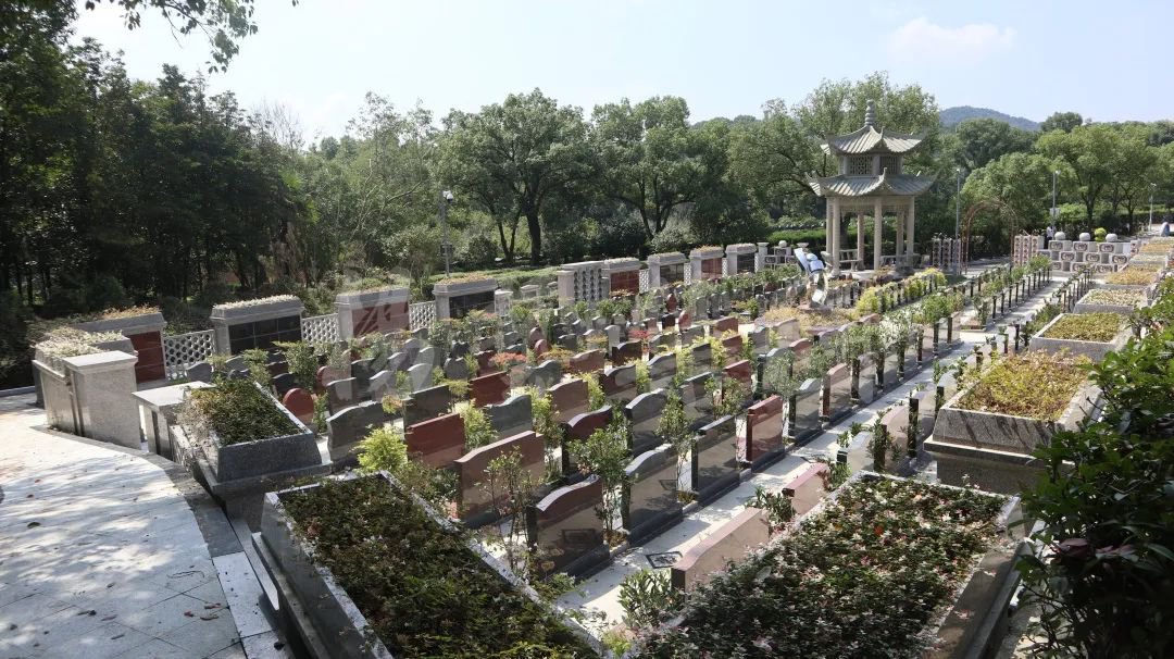 拉斯维加斯游戏·(中国)官方网站