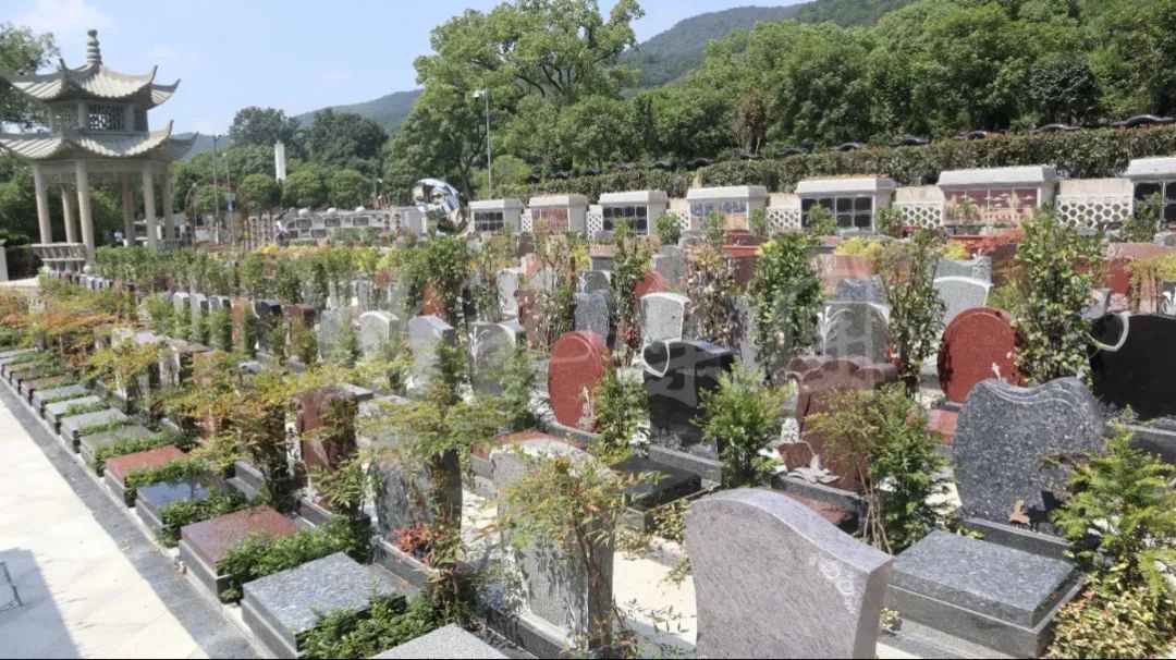 拉斯维加斯游戏·(中国)官方网站