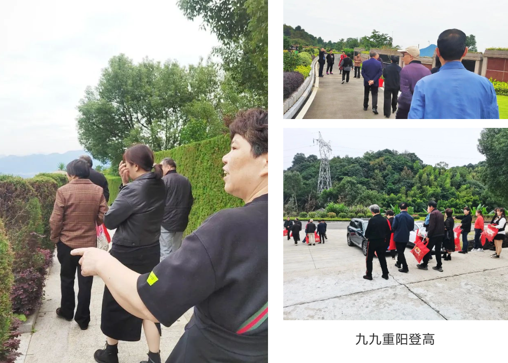 拉斯维加斯游戏·(中国)官方网站