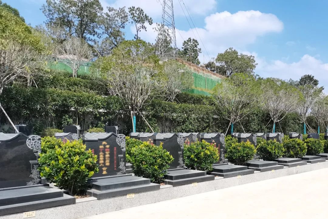 拉斯维加斯游戏·(中国)官方网站
