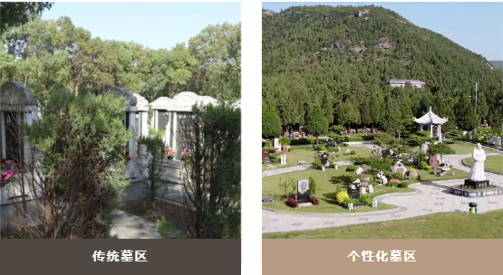 拉斯维加斯游戏·(中国)官方网站