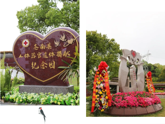 拉斯维加斯游戏·(中国)官方网站