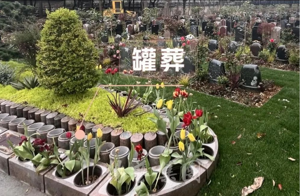 拉斯维加斯游戏·(中国)官方网站
