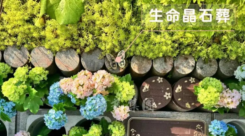 拉斯维加斯游戏·(中国)官方网站