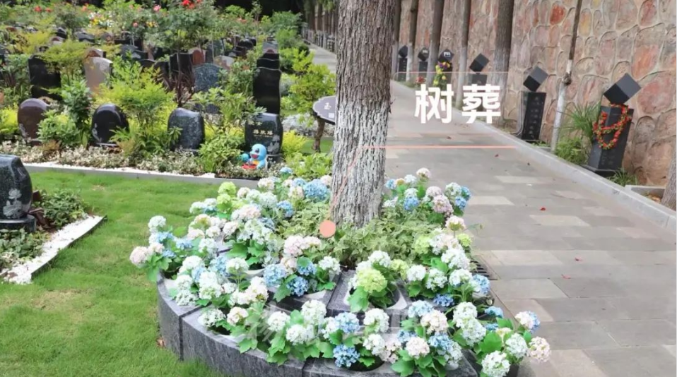 拉斯维加斯游戏·(中国)官方网站