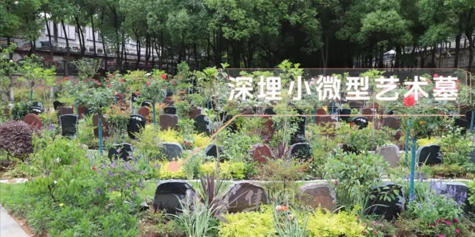 拉斯维加斯游戏·(中国)官方网站