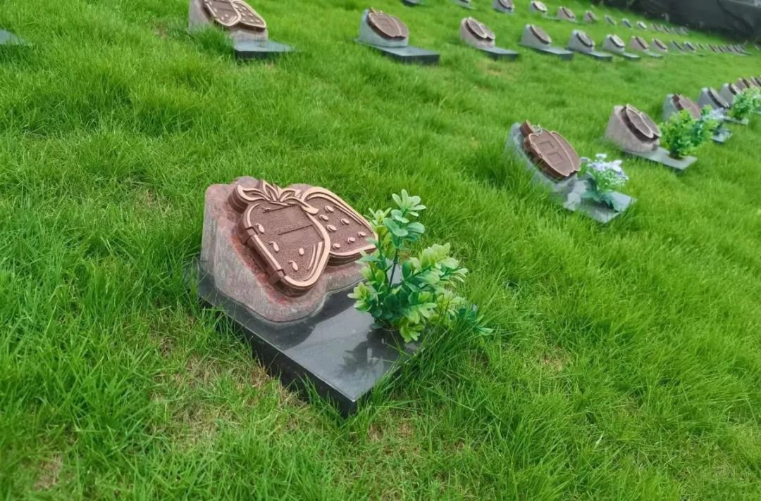 拉斯维加斯游戏·(中国)官方网站
