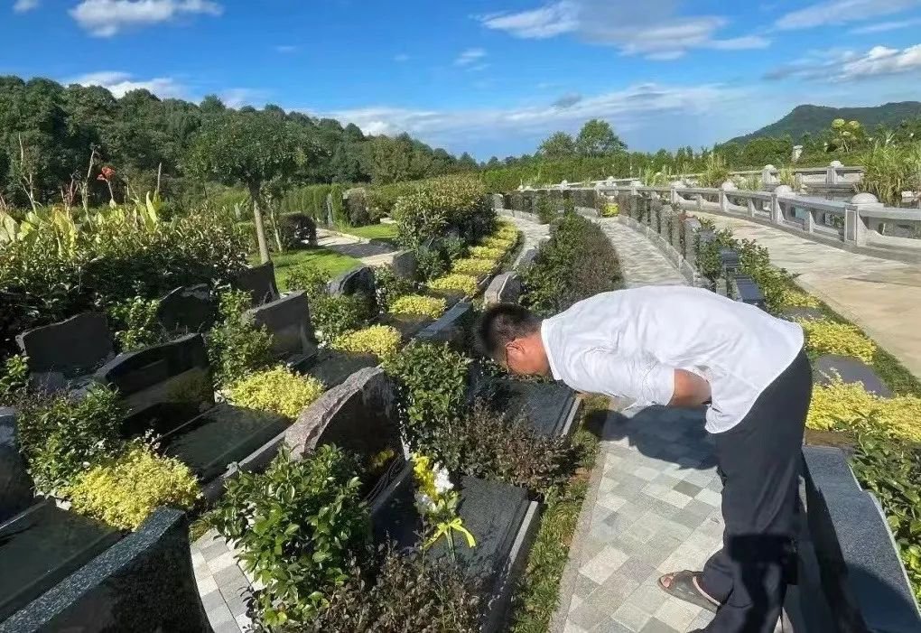 拉斯维加斯游戏·(中国)官方网站