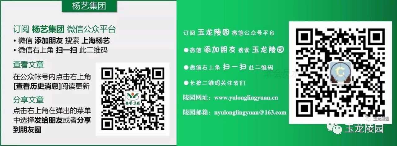 拉斯维加斯游戏·(中国)官方网站